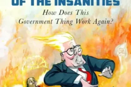 Book Cover of The Bonfire of Insanities: How Does This Government Thing Work Again? written by John Grace.