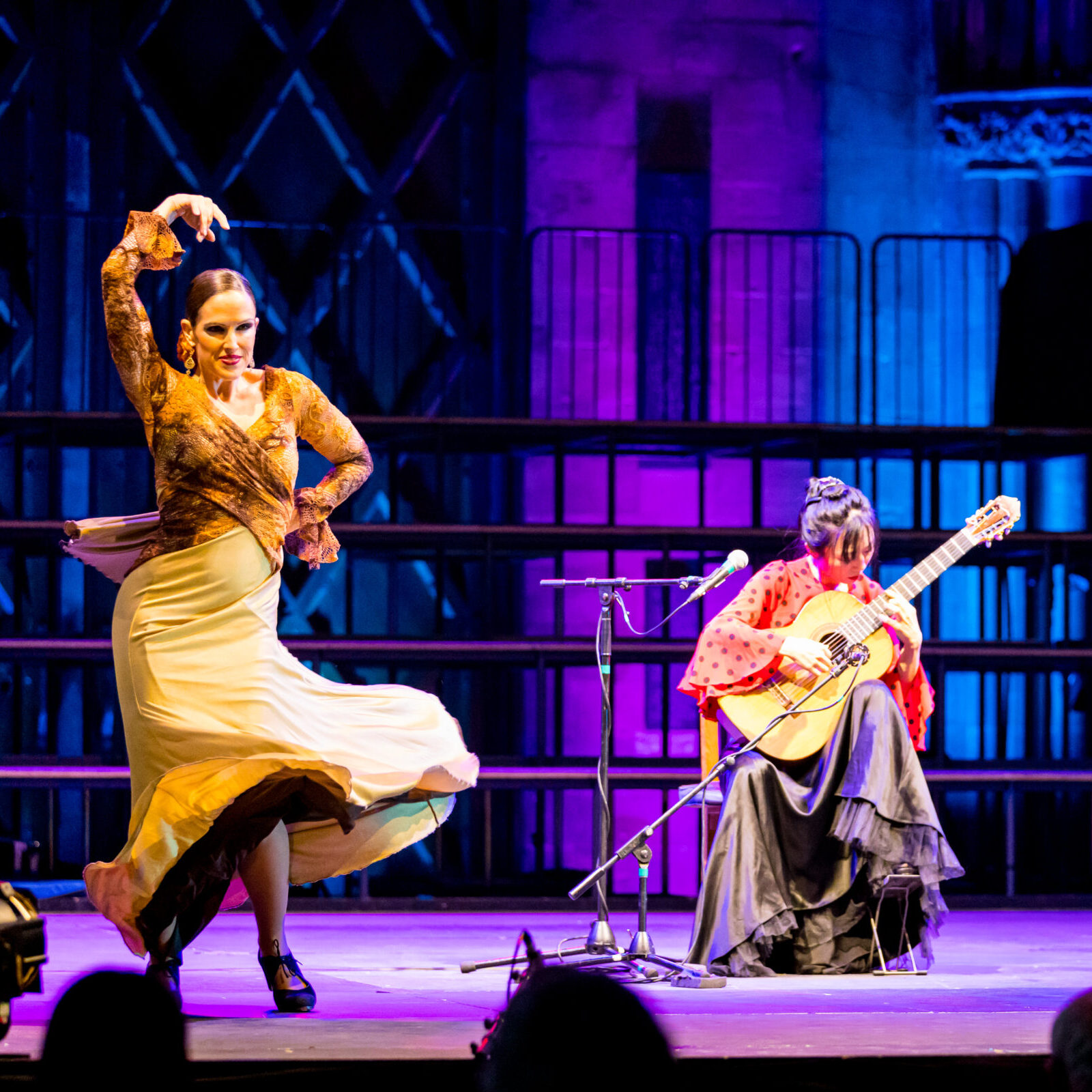A flamenco dancer and guitarist on stage