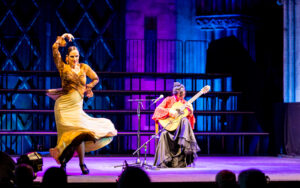 A flamenco dancer in an orange dress mid-action next to a seated classical guitarist