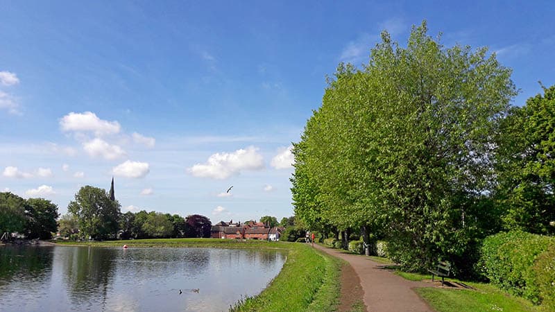 Landscape of pool in Lichfield with church spire in background